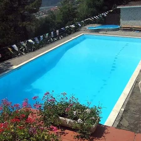 Mare Monti *
